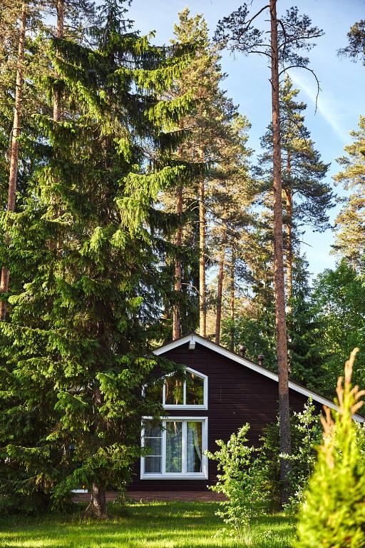 Tsarstvo Korolevstvo - Cottage (6 Adults)
