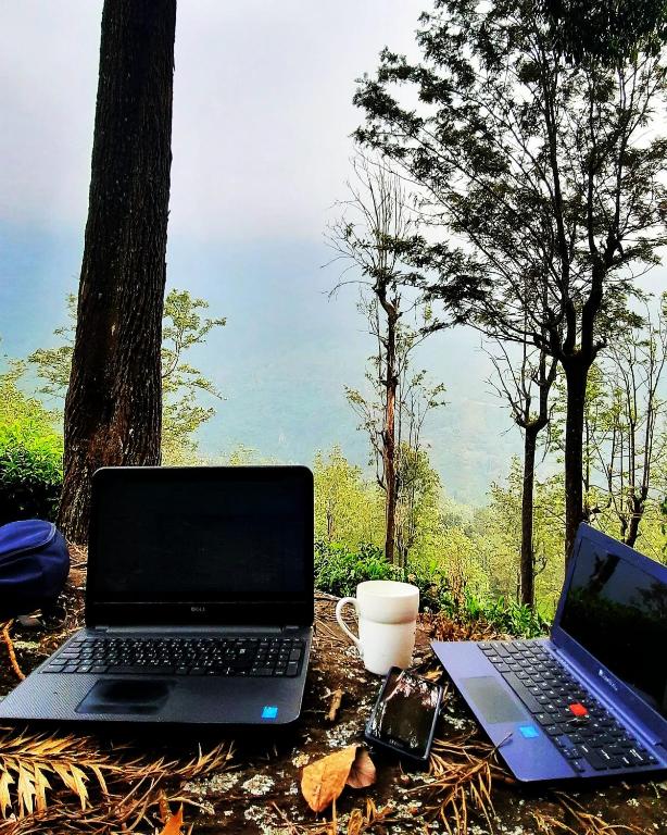two laptops sitting on a table next to a tree at Hidden Heaven in Coonoor