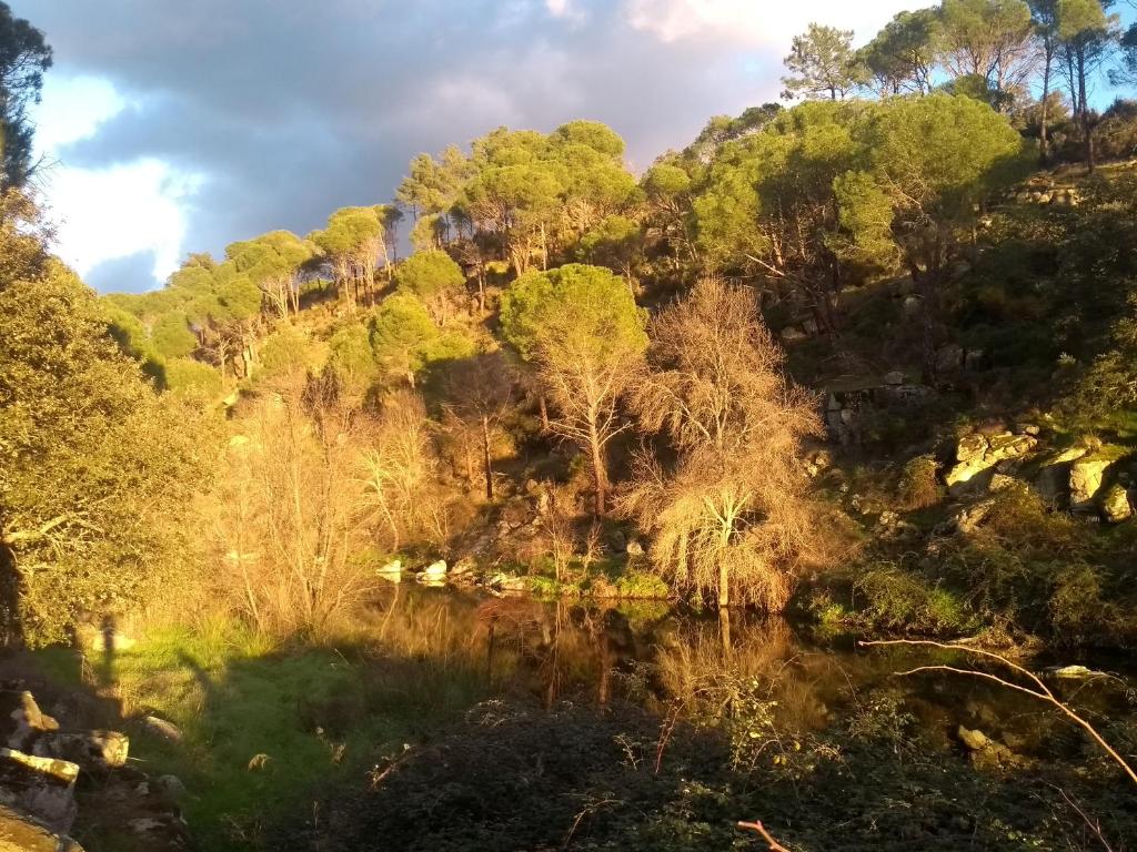 La Plazuela del Tiétar, diseño y descanso en Gredos sur - Casa De Dos Dormitorios