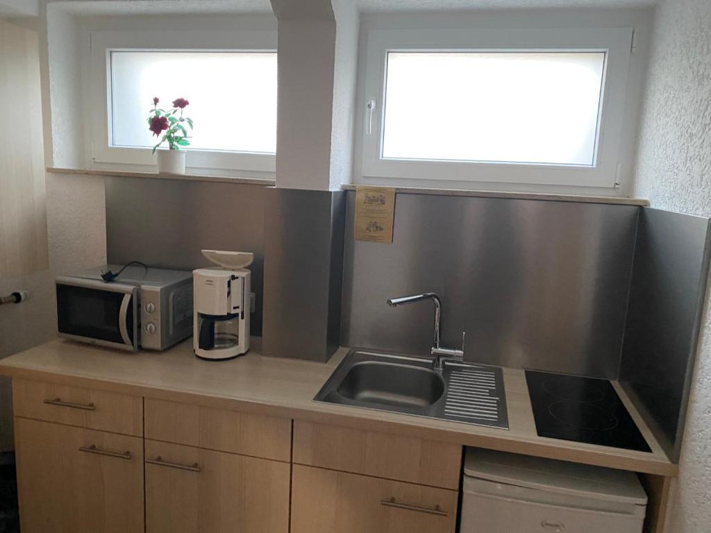 a kitchen with a sink and a microwave and two windows at Ihr Apartment in der Natur in Schwerte