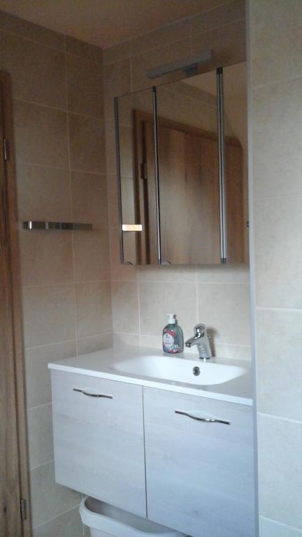 a bathroom with a white sink and a mirror at Südblick in Röttenbach