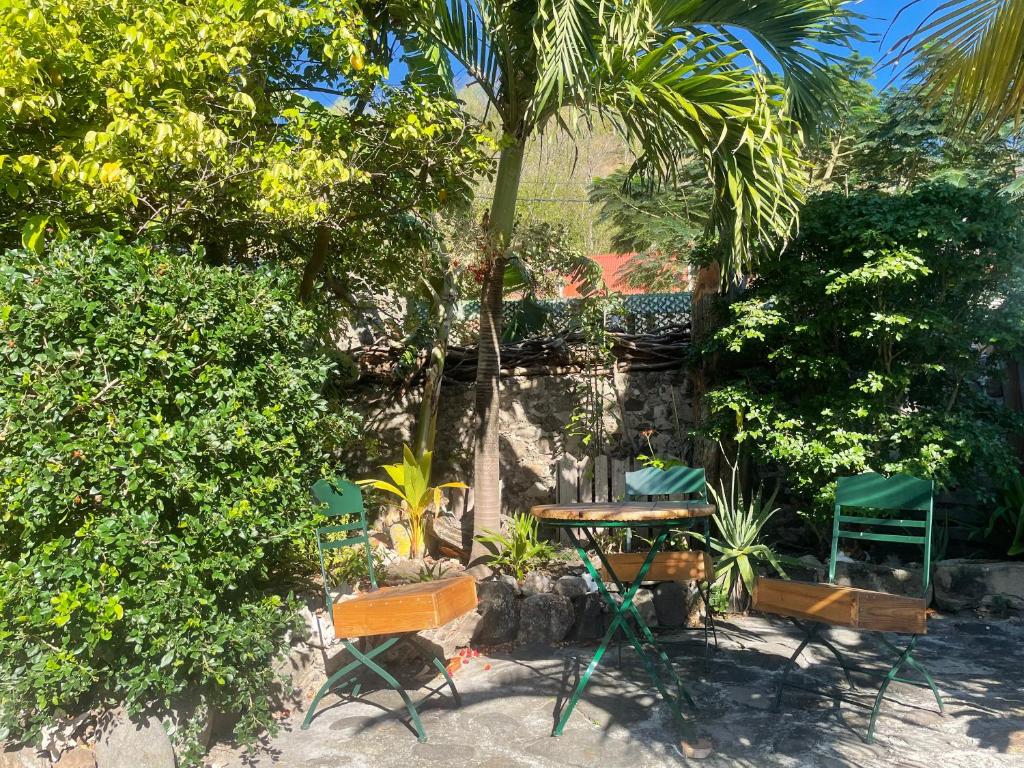 Les hamacs aux Saintes, Terre-de-Haut (photo 4)