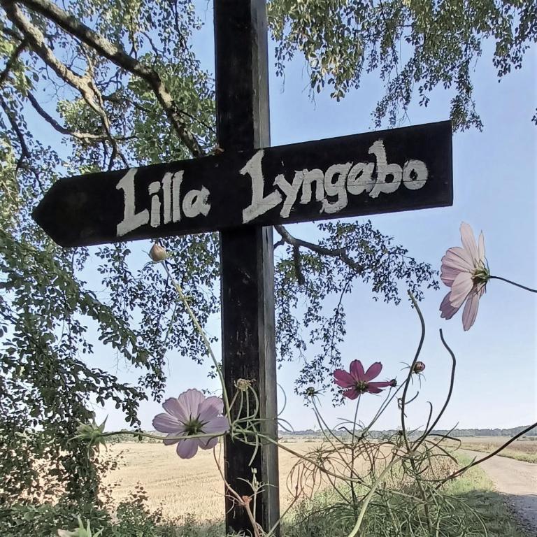 Certifikát, hodnocení, plakát nebo jiný dokument vystavený v ubytování Lilla Lyngabo