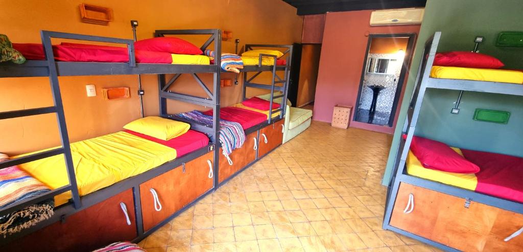 Giường tầng trong phòng chung tại Circo Hostel
