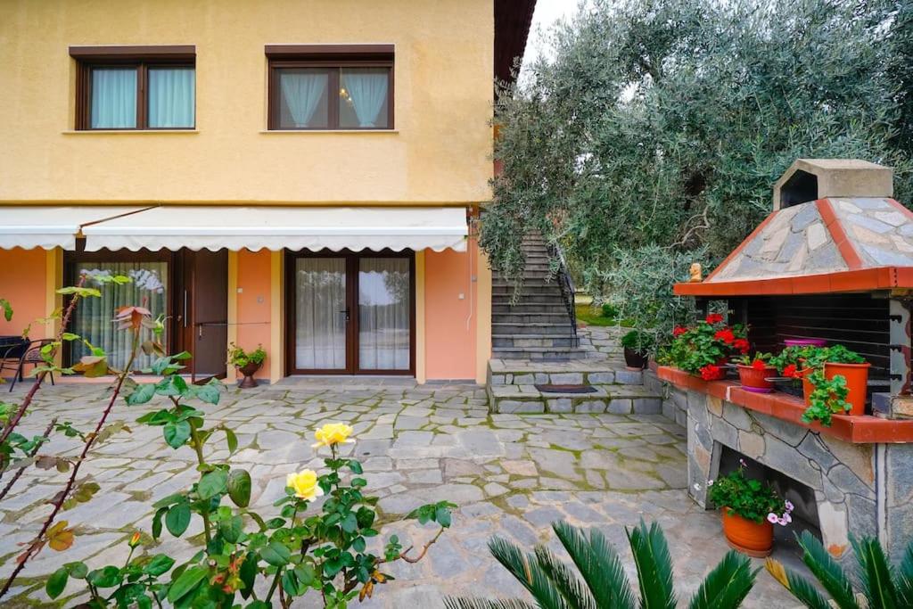 Zahrada ubytování Olive's House