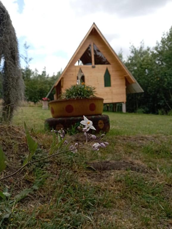 Zahrada ubytování Glamping las 4 estaciones