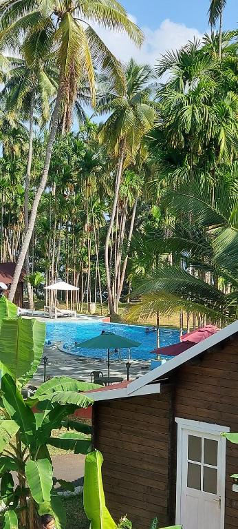 a house with a swimming pool and palm trees at Adhvasaha Beach Spa Resort in Port Blair