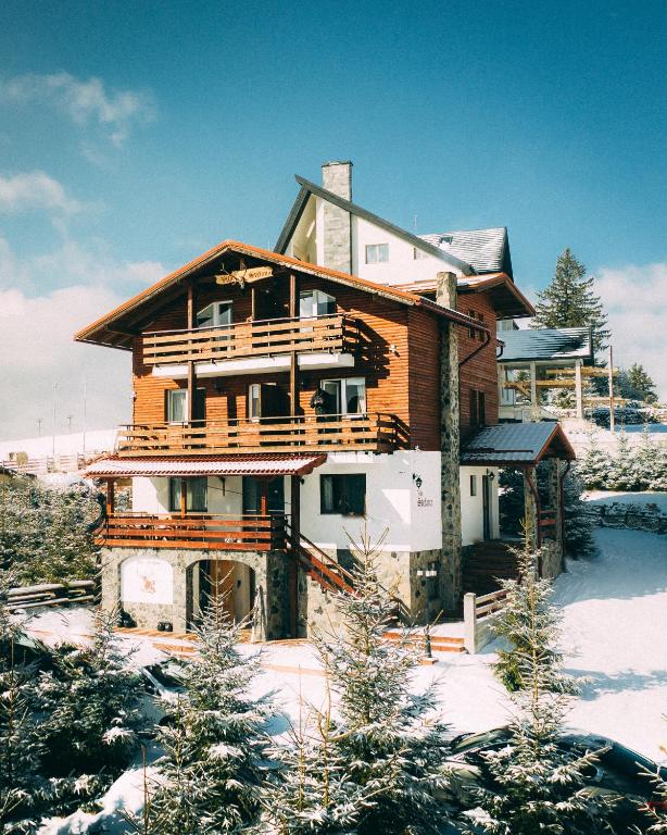 a wooden house in the snow with snow covered trees at Vila Stefana Paltinis in Păltiniş