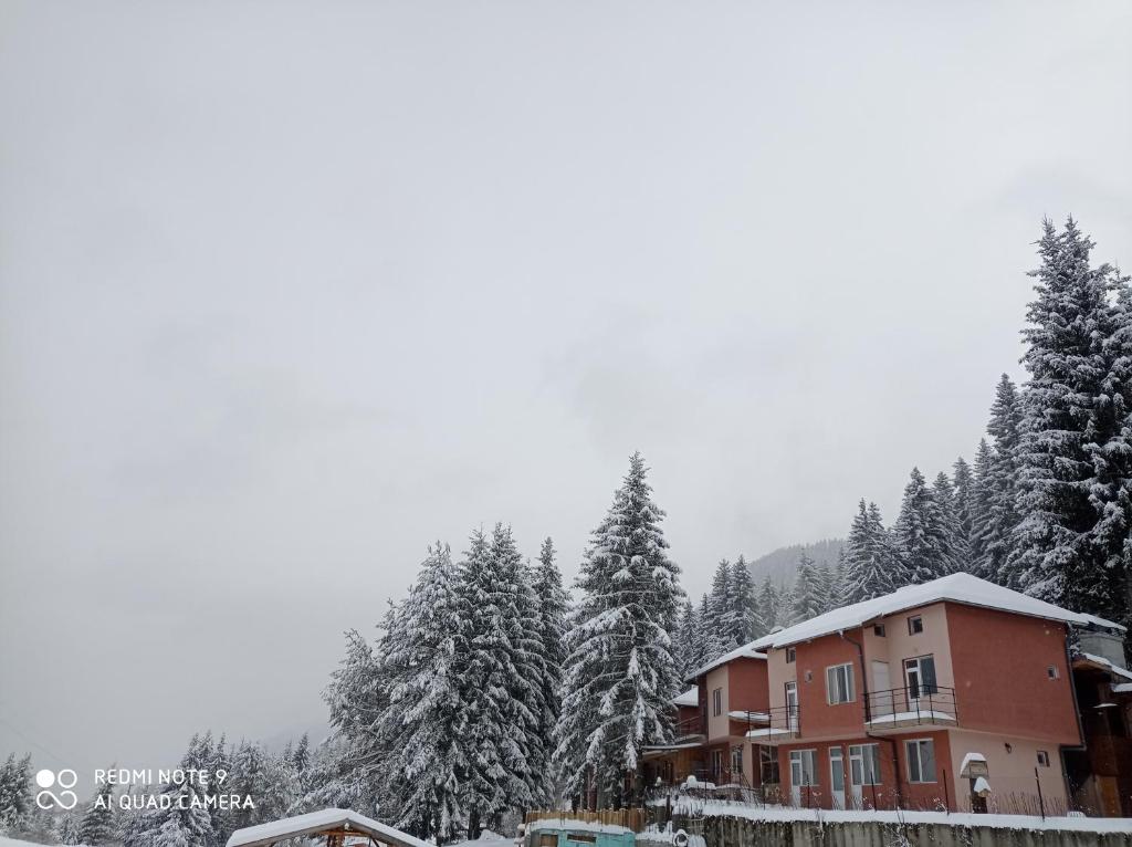une maison dans la neige avec des arbres en arrière-plan dans l'établissement Вили Сара, à Orlino