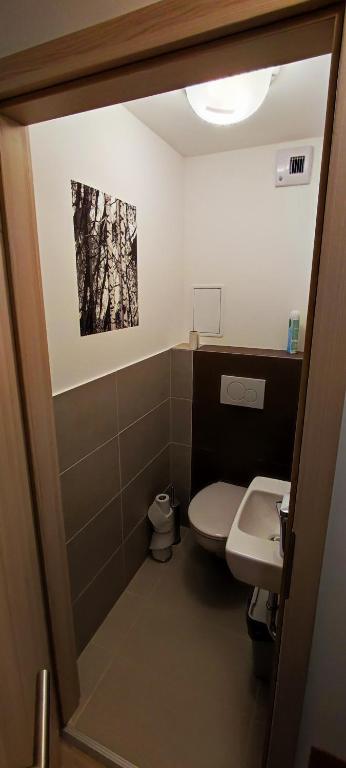 Kúpeľňa v ubytovaní Apartman Lake