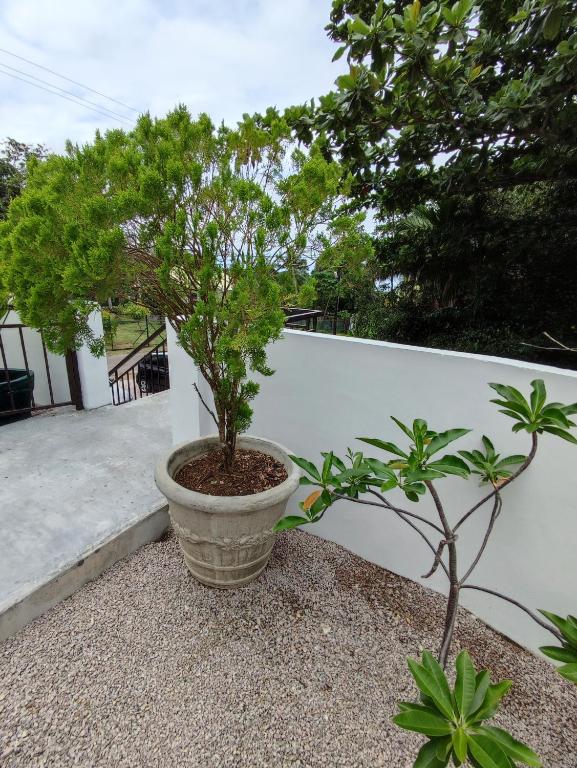 Zahrada ubytování Mount Simpson 2-Beds Sleeps 4 5 mins to Beach