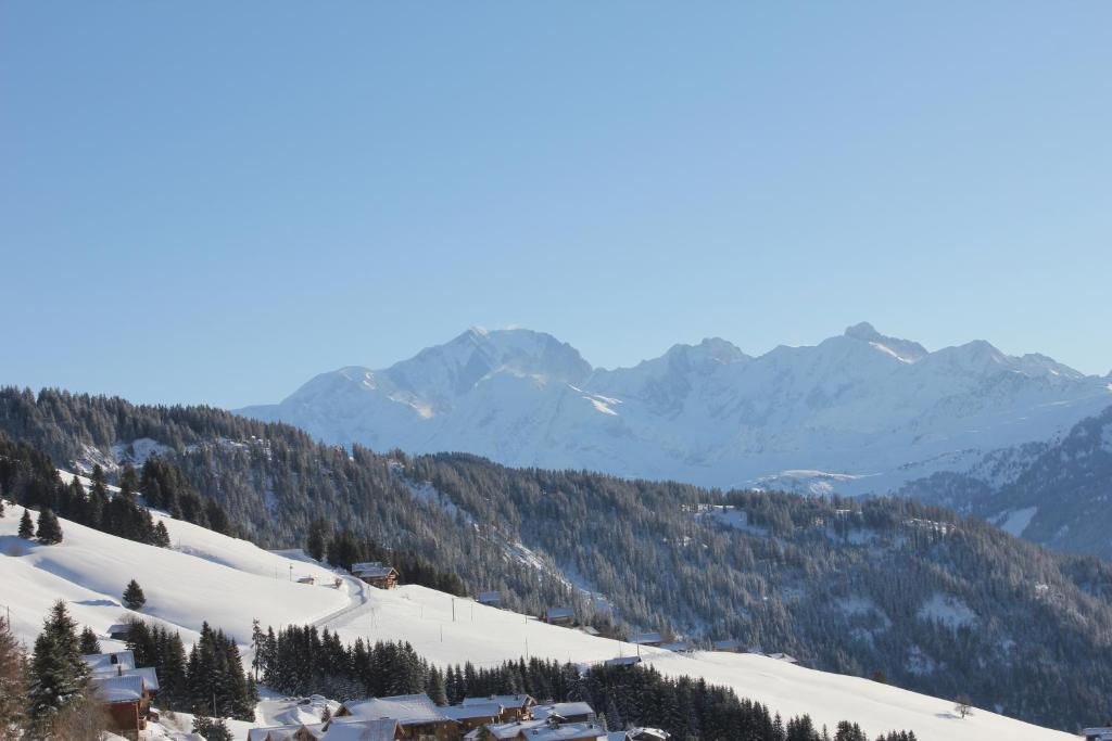 Une montagne enneigée avec des maisons et des montagnes dans l'établissement La Perle Des Alpes C2, à Villard-sur-Doron