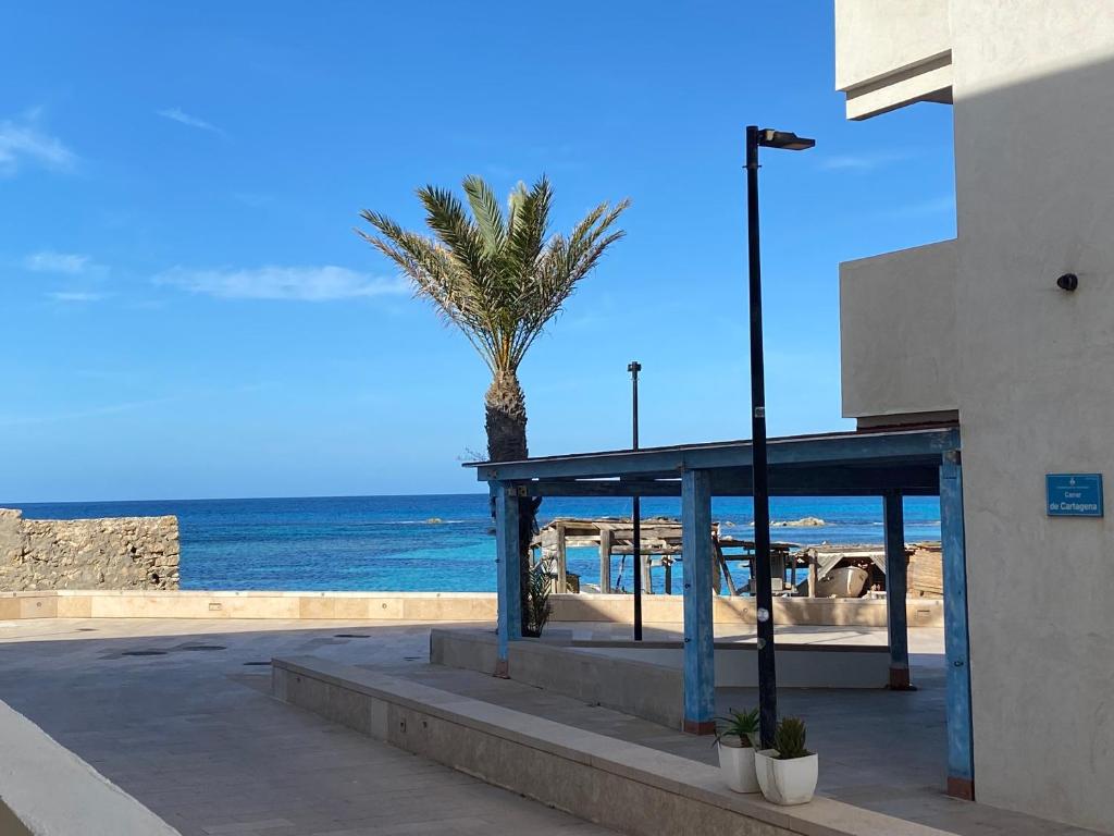 a bus stop on the beach with a palm tree at MARINE APARTMENT in Es Pujols