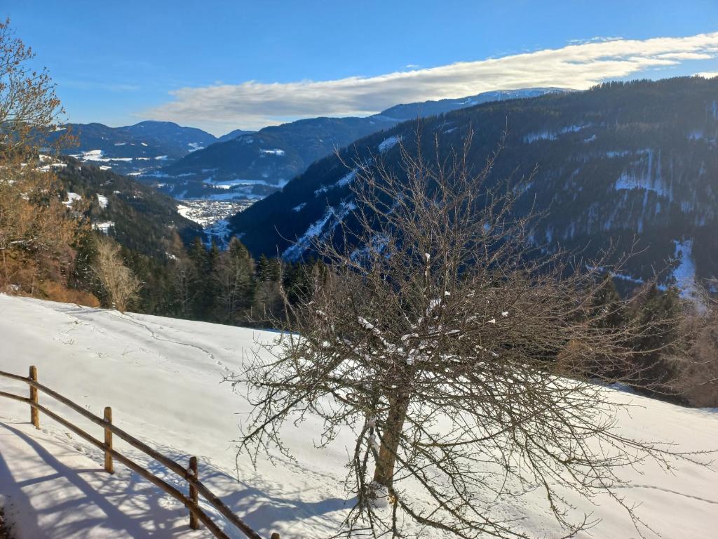 Príroda v okolí dovolenkového domu