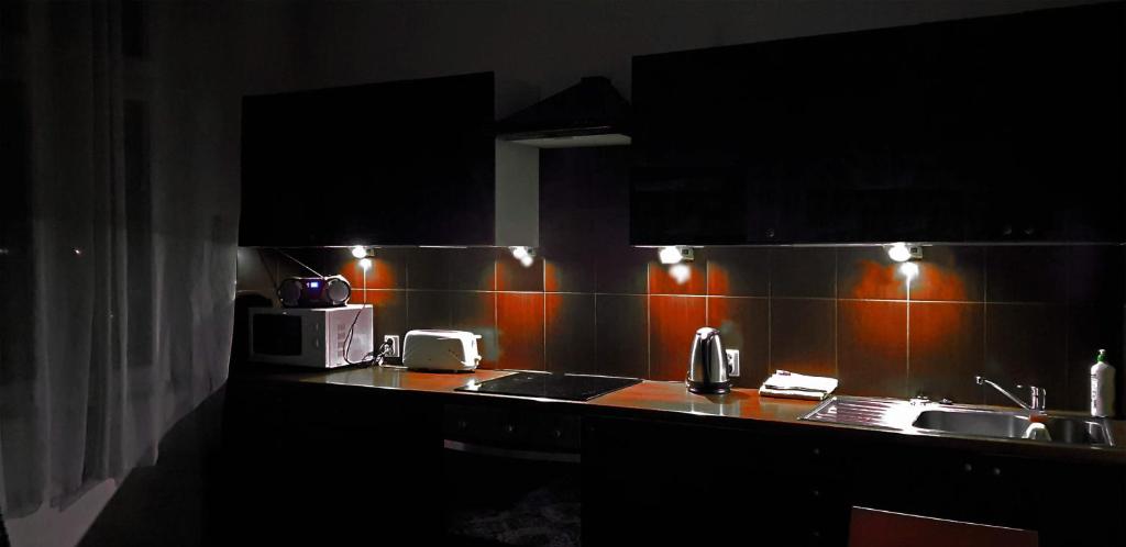 a kitchen with a counter with a microwave and a sink at Sweet Kato Apartment in Katowice