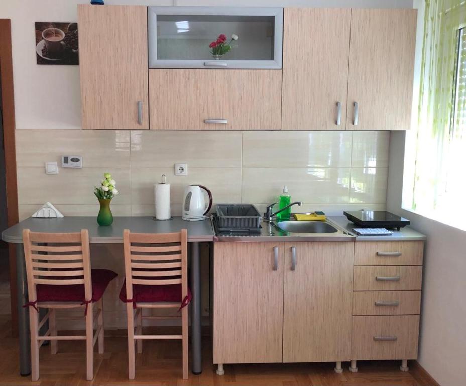 Küche/Küchenzeile in der Unterkunft Apartman Radmanovac 2