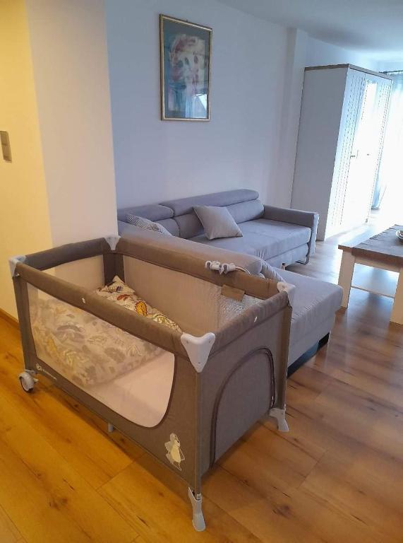 Fotografie z fotogalerie ubytování Apartament u Antosia Szczawnica v destinaci Szczawnica
