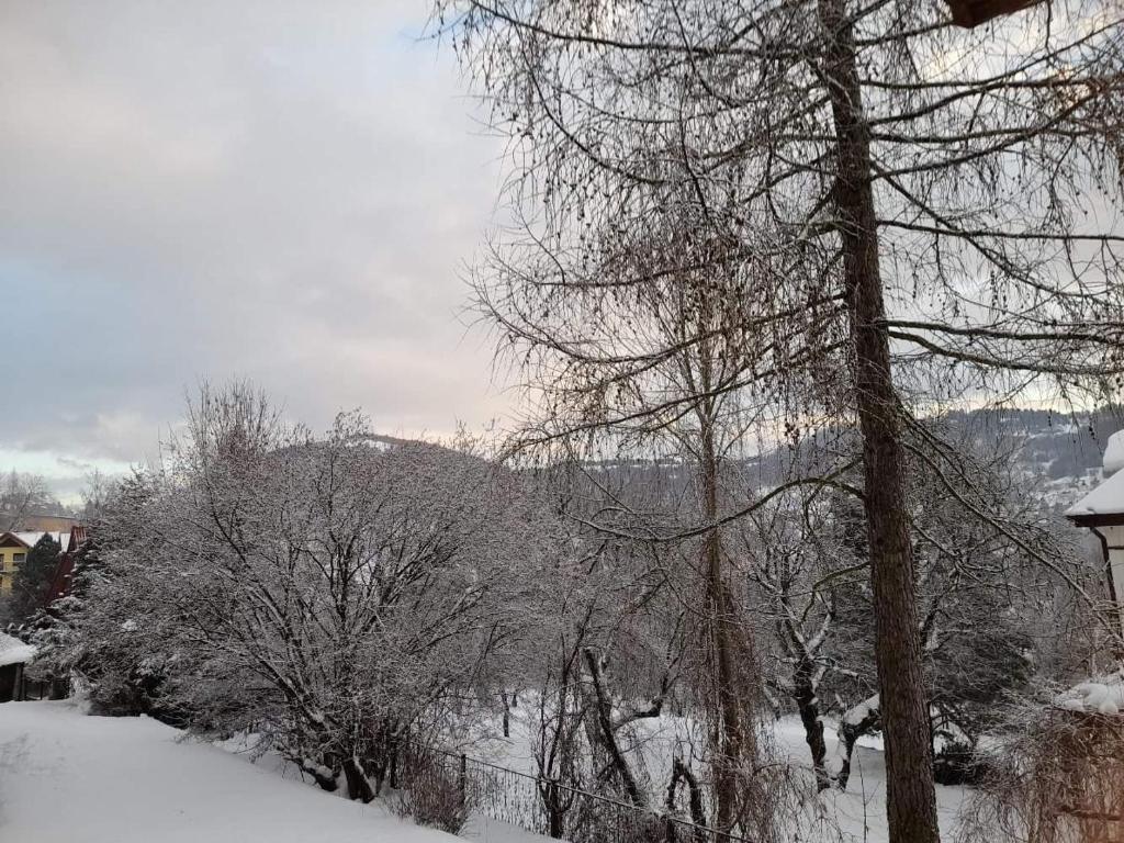 Fotografie z fotogalerie ubytování Apartament u Antosia Szczawnica v destinaci Szczawnica