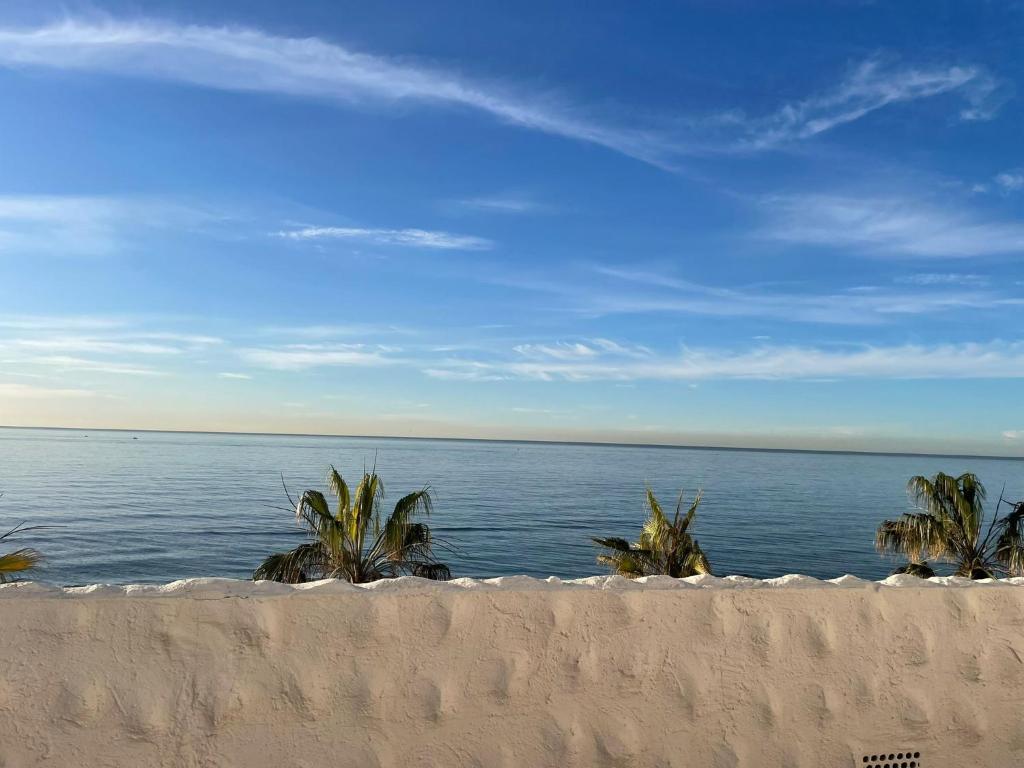 una spiaggia con palme e l'oceano di Ático sobre el Mar a Vélez-Málaga
