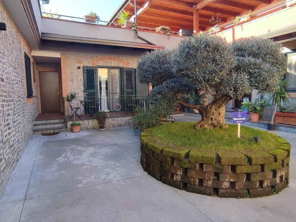 un árbol en un círculo de piedra delante de un edificio en Midway House Italy en Sant'Egidio del Monte Albino