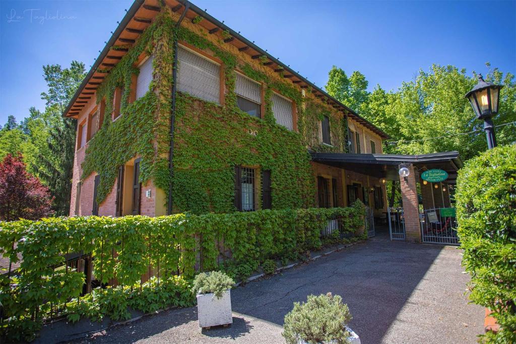 a building covered in green ivy next to a street at La Tagliolina in Monteveglio