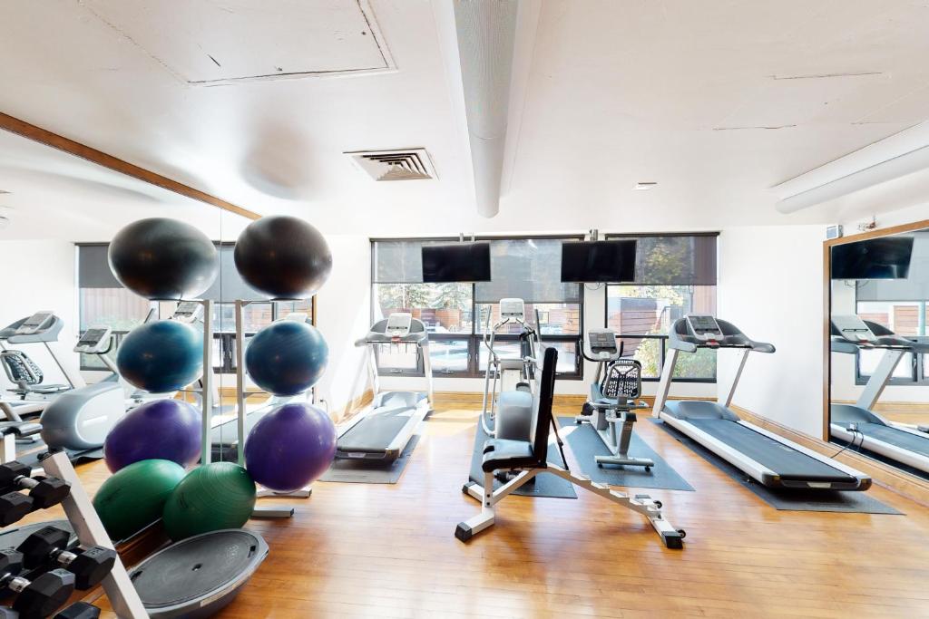 Fitness centrum a/nebo fitness zařízení v ubytování Vail Spa 301
