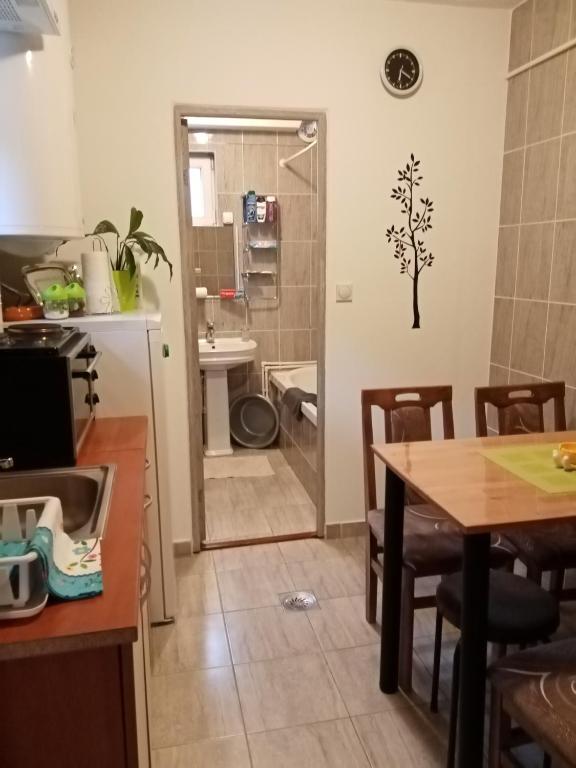 Kuchyň nebo kuchyňský kout v ubytování std- Na lepom plavom Dunavu