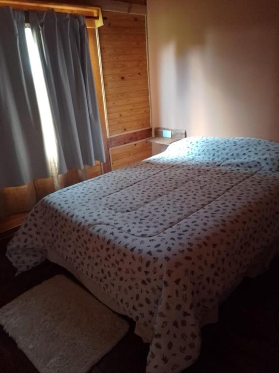 Postel nebo postele na pokoji v ubytování Don Edmundo Trevelin