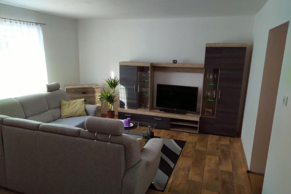 a living room with a couch and a television at Apartmán Pod Říčkami in Rokytnice v Orlických Horách