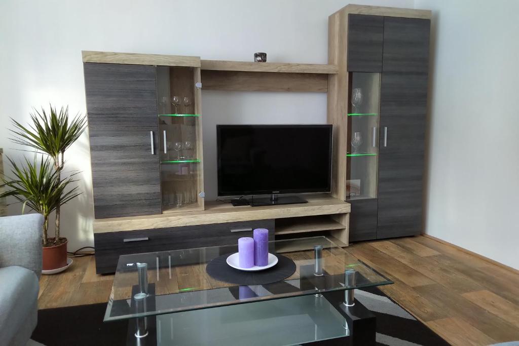 Fotografie z fotogalerie ubytování Apartmán Pod Říčkami v Rokytnici v Orlických Horách