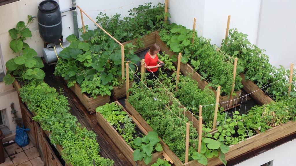 Chopin Boutique - Resim 44