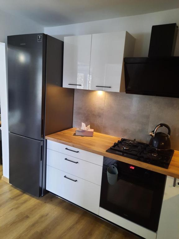 Kuchyňa alebo kuchynka v ubytovaní Orlicka Apartament