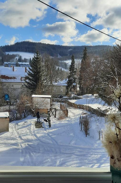 Orlicka Apartament v zime