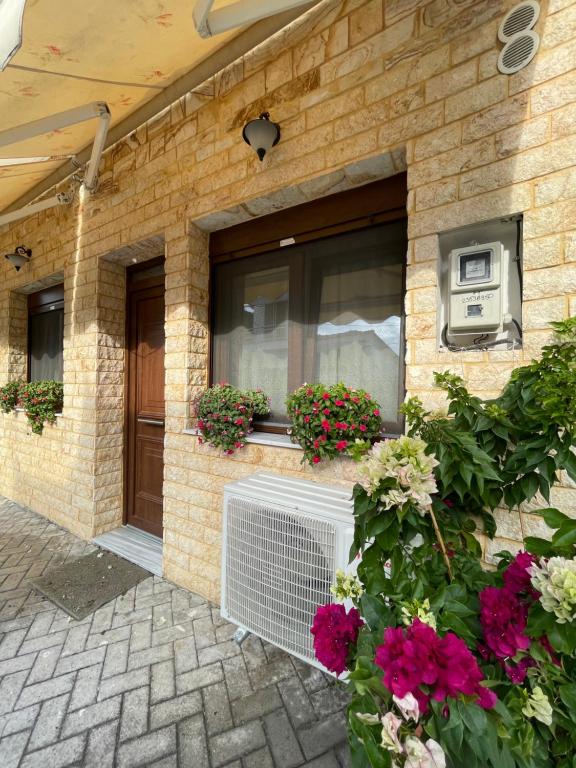 LEONORA’S APARTMENT, Prinos (updated prices 2024)