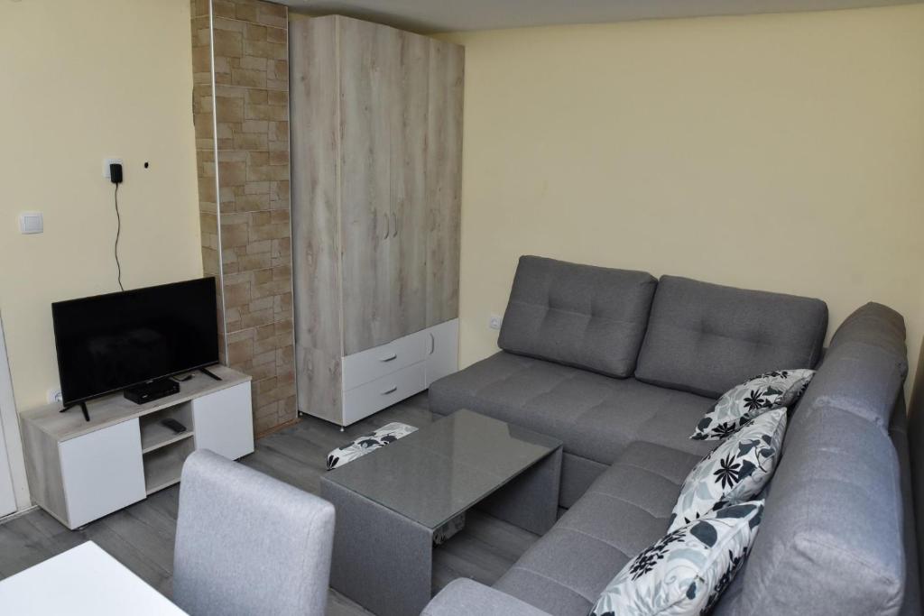 a living room with a couch and a tv at Mijatov Konak in Zlatibor