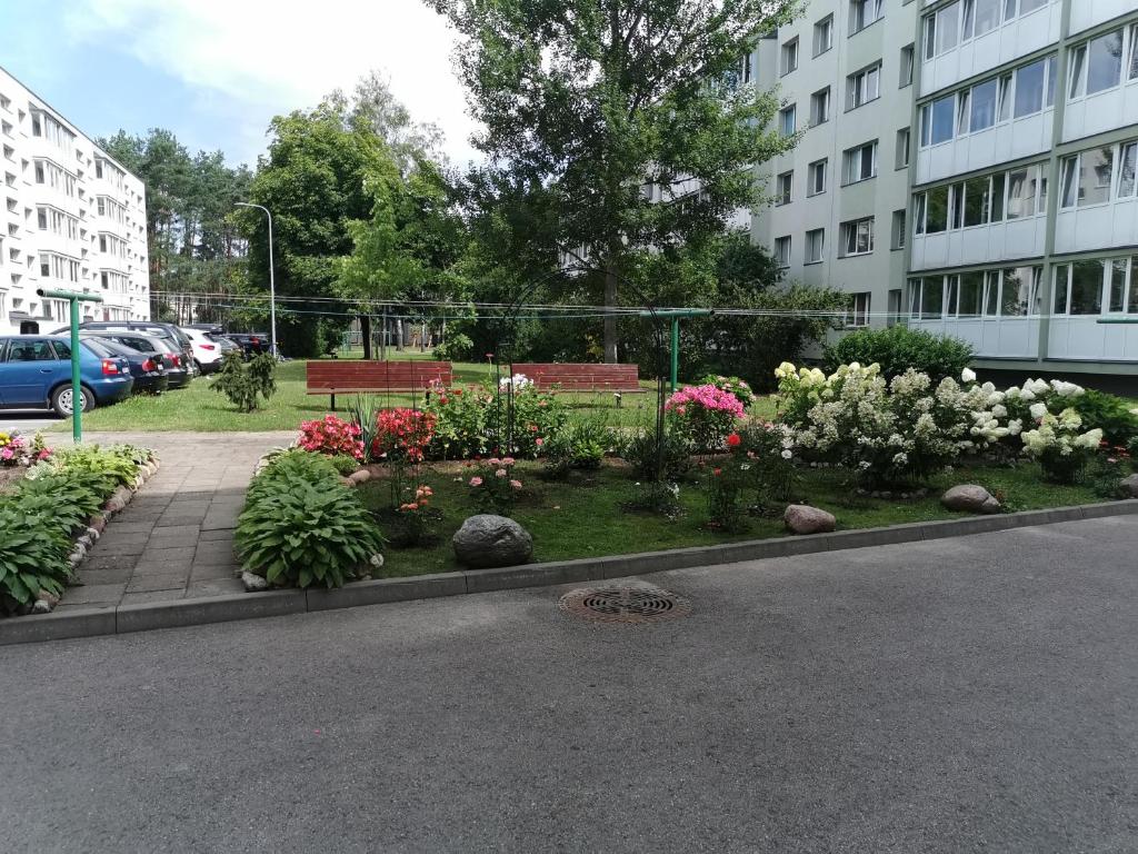 un giardino con panchine e fiori in una città di Adelės apartamentai a Druskininkai