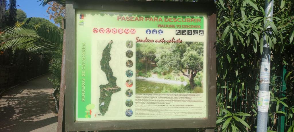 Fotografia z galérie ubytovania BEACH FOREST PARADISE v destinácii Cabopino