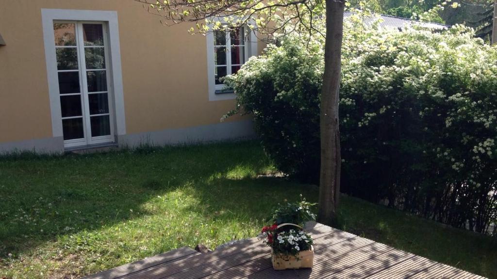Ferienwohnung am Spreeradweg in Bautzen - 19