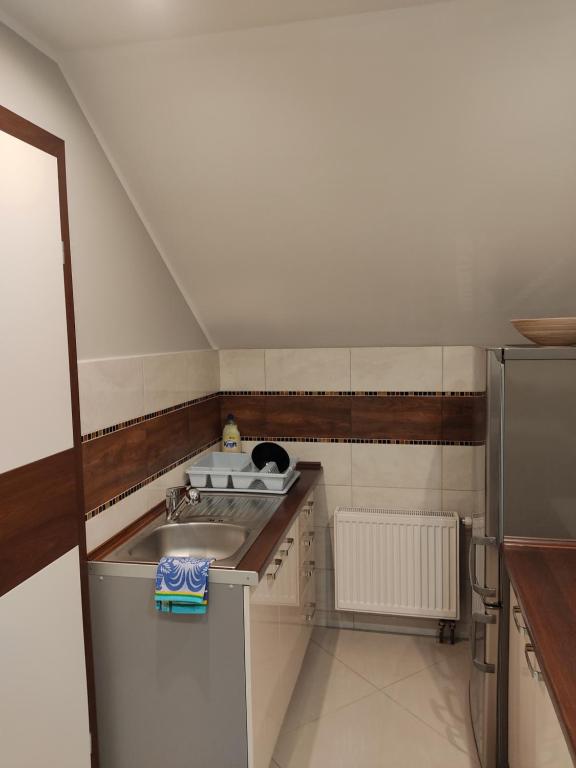 Kuchyňa alebo kuchynka v ubytovaní Apartament Jodłowy