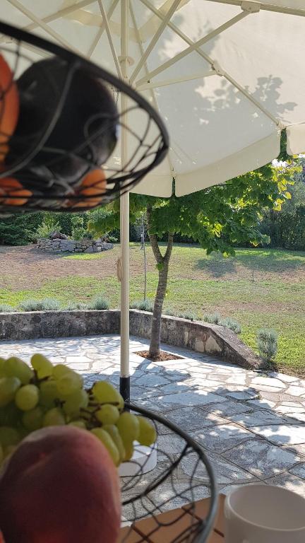 Zahrada ubytování Konstantinos's luxury residence Sani