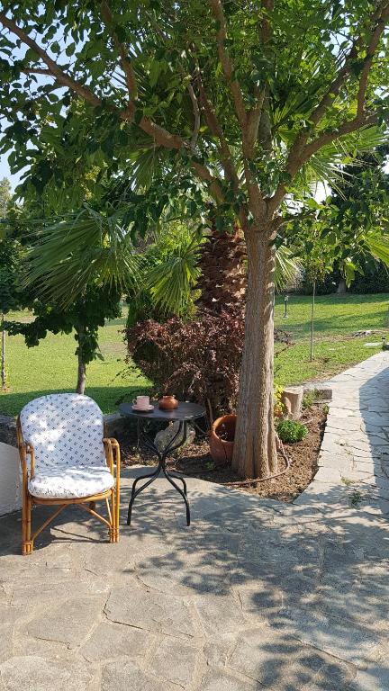 Zahrada ubytování Konstantinos's luxury residence Sani