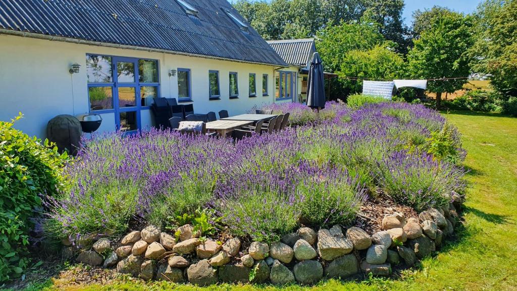 Zahrada ubytování Rolsø Retreat