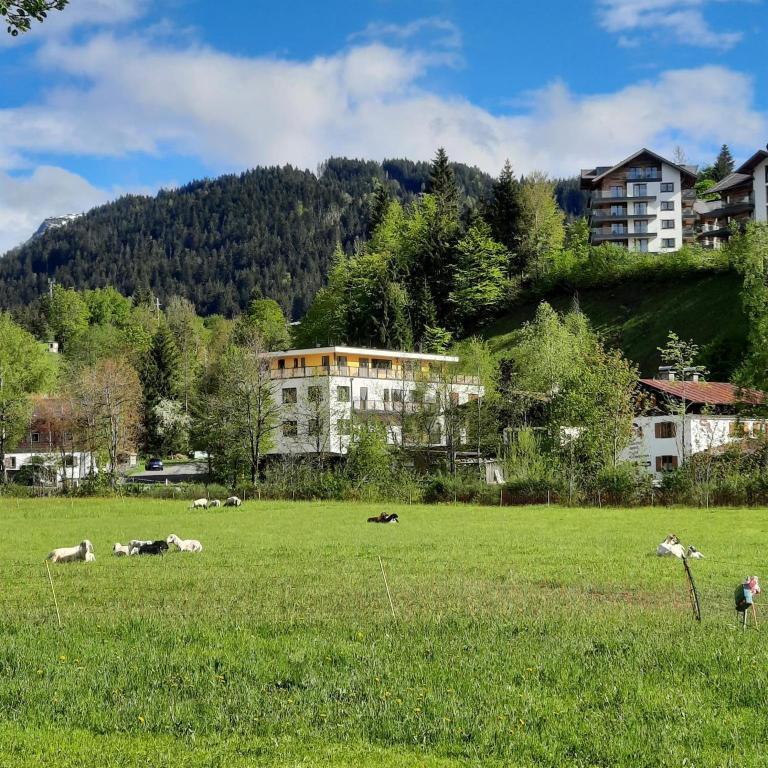 Príroda v okolí apartmánu