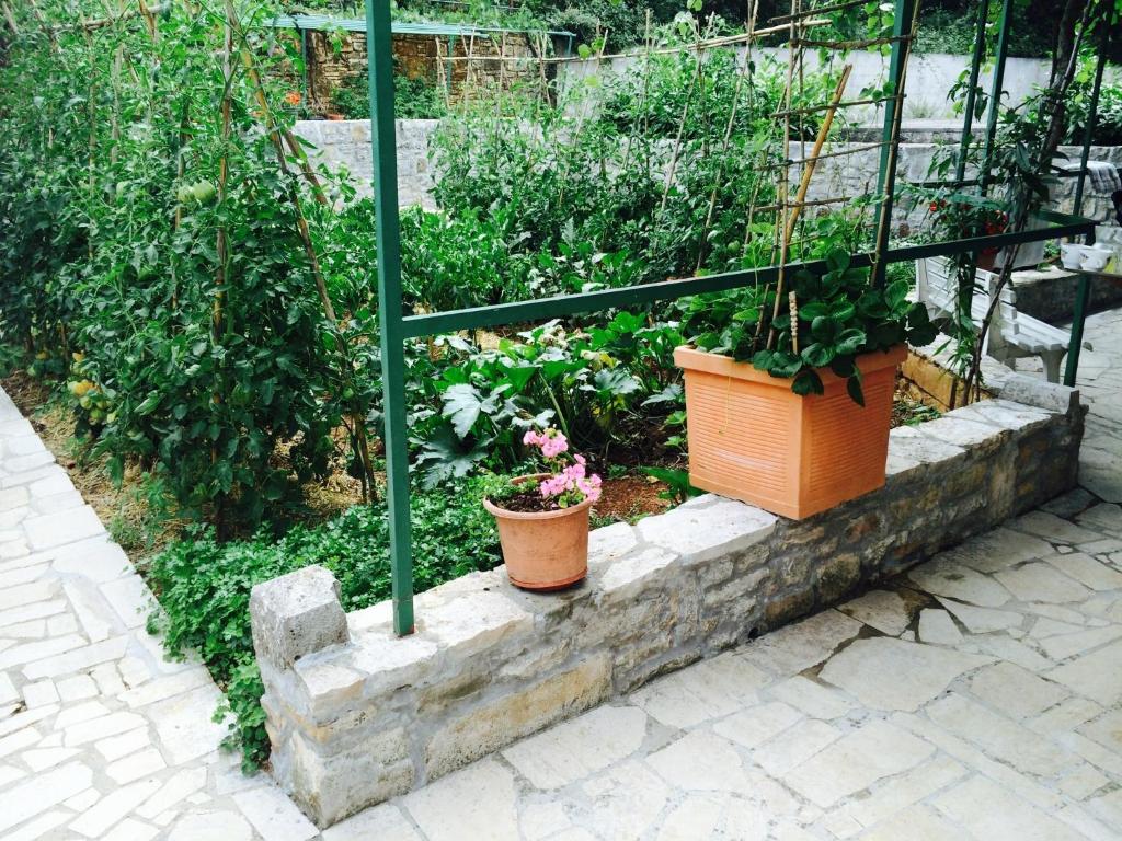 Zahrada ubytování Guesthouse Sea View