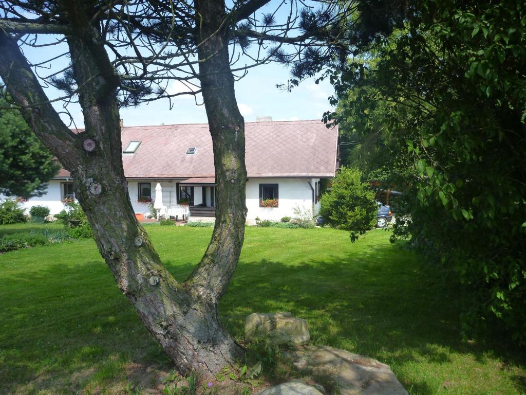 Zahrada ubytování Chalupa Olšina 31 - Ferienhaus