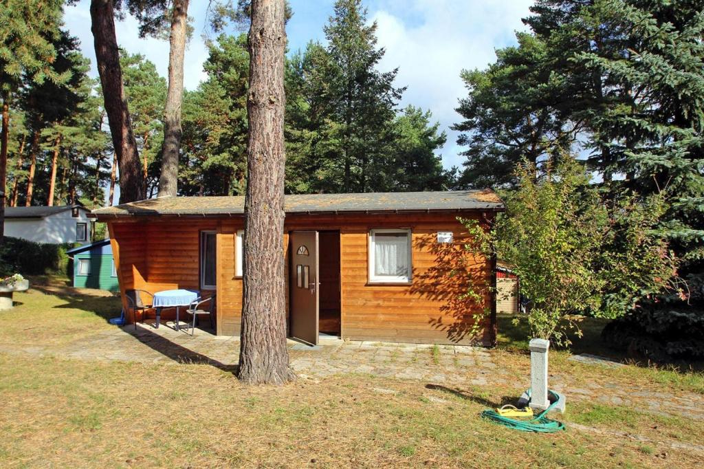 a small cabin in the woods with a tree at Holiday Village on the Vineyard, Dobbrikow in Dobbrikow