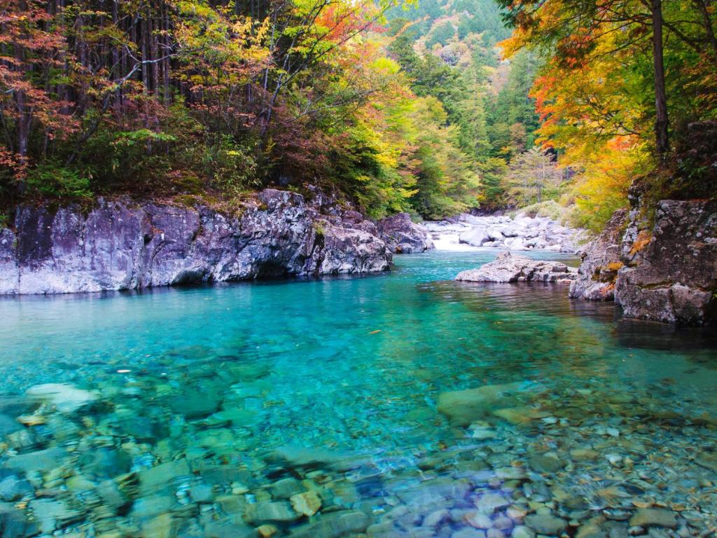 Un río con agua azul clara en un bosque en 阿寺温泉 フォレスパ木曽あてら荘, en Okuwa