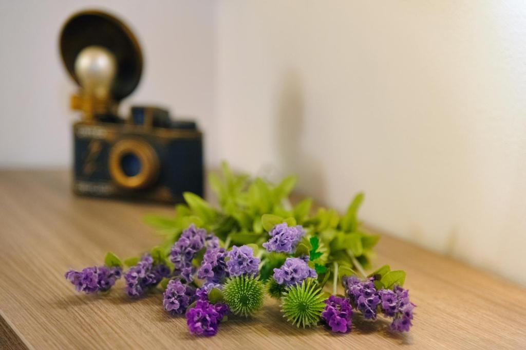 Fotografie z fotogalerie ubytování Apartment Atticus ve Splitu