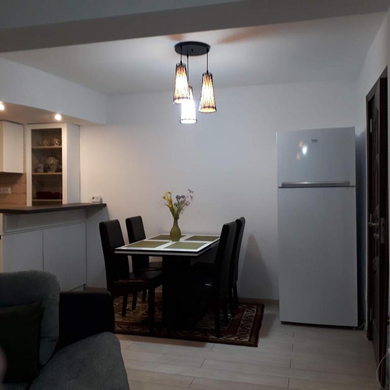 Kuchyň nebo kuchyňský kout v ubytování Apartament Elena