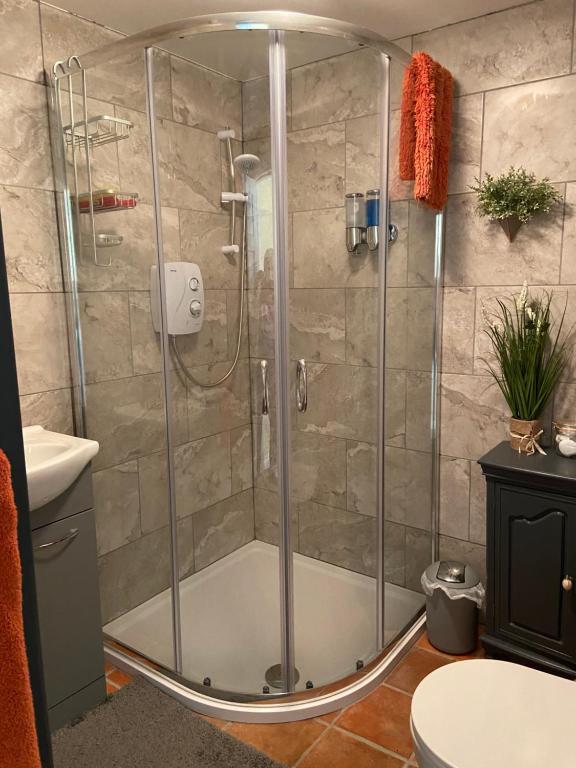 a shower with a glass door in a bathroom at Rathjarney Gatelodge in Wexford